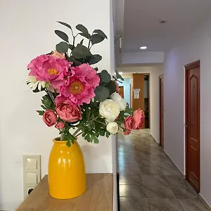Center Hostel&guest House Hostel